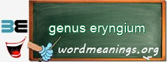 WordMeaning blackboard for genus eryngium